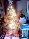 IMG_20161205_090256_1.webp