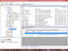 sdss.webp