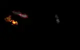 Untitled.webp