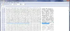 ninja2.webp