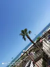 1598085089025899654957144057214.webp