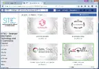 7.webp