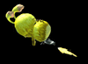 rapiko_rodeo_by_sbxekt-d528xiv.gif