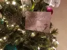 20171215_025233.webp