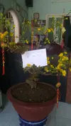 20180216_105258.webp