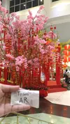 P_20180225_200424.webp