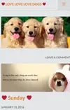 FirstMenu.webp