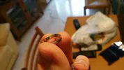 20160214_135559.webp