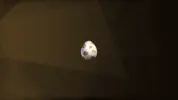 40586108_2008994099161402_8881405649825562624_n.webp