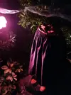 IMG_20181026_031906.webp