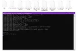 vvvvvvv1.webp