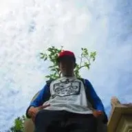 ervan