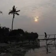 RezaRey