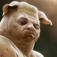 Dany Cerdo