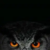 Owlman