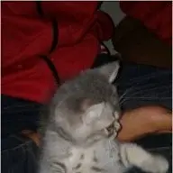 Anzaycuyy
