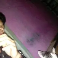 sicuici