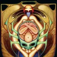 ZealotScarab