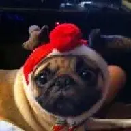 pugnasty