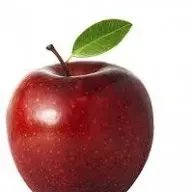 size