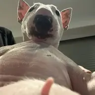 OmegaKiller