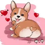 doggocorgi