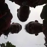 yogatrii