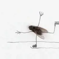 howtobalance