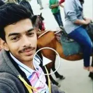 hardybaitule