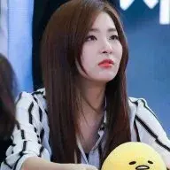 seulgibear
