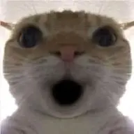 Pollala