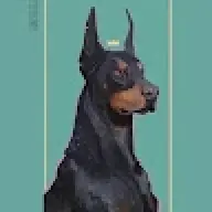 noobscooby