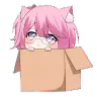 AyAyNP