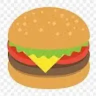GreasyHamburger