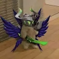 Darkgaming 029