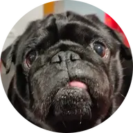 DannyPt