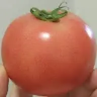 978