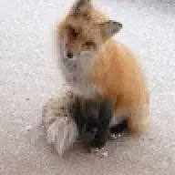 nomalfox