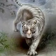 Seber