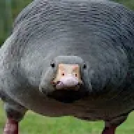 Ganso69