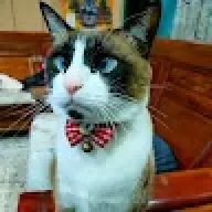 z7787299