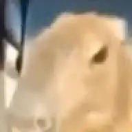 Saturiu