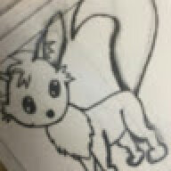 Kamushi