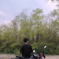 Dwitun