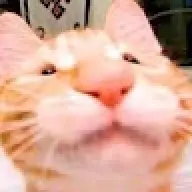 Ducanhkst