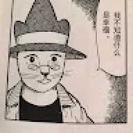 OPM28
