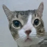 Mrbubbles