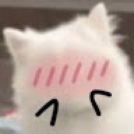 Meo meo
