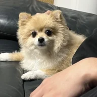 jeeikmi