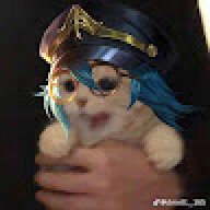 Ditconmechungmay